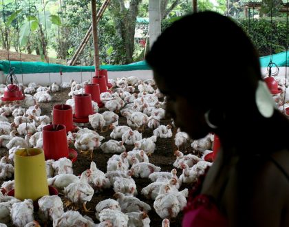 El uso indebido de los antibióticos nos pone en riesgo a todos