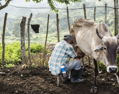 Los defensores de DDHH en Colombia son un blanco fácil