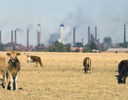 Llegar a cero emisiones netas de carbono para 2050, ¿es posible?