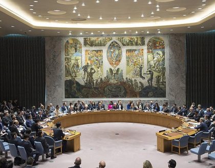 Reforma de las Naciones Unidas y proyectos de un nuevo orden político global